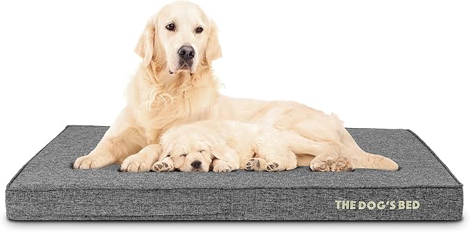 The Dog’s Bed Orthopedic Memory Foam Dog Bed 46x28, Pain
