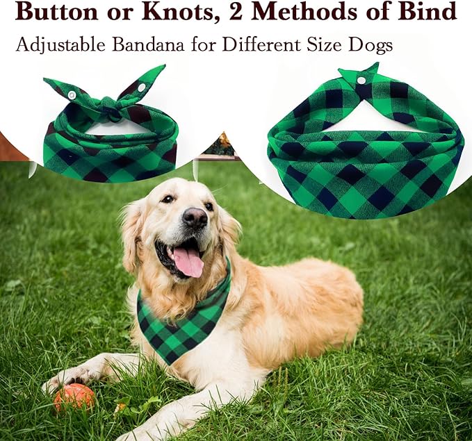 Birthday Plaid Dog Bandana with Button