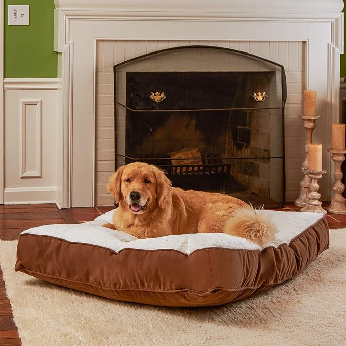 South Pine Porch Buddy Rectangle Pillow Style Dog Bed (48" x 36")