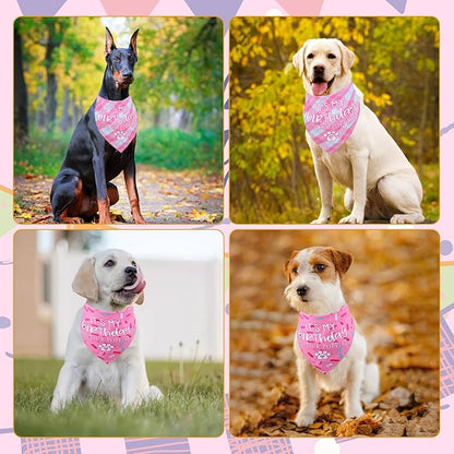 Dog Birthday Bandana Small Reversible Multi Size Offered for Dog Birthday Girl