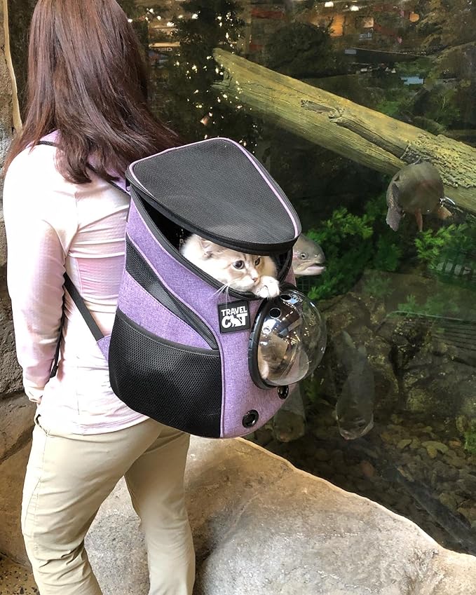 Fat Cat Backpack Carrier - Airline Approved Cat Carrier with Space Capsule Bubble for for Small Cats, Kitten - Premium Purple Cat Carrier Backpack for Outdoor, Travel, Hiking, Pet Supplies