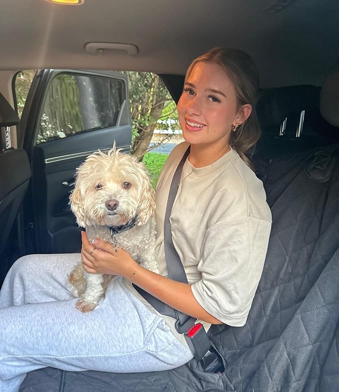 Dog Car Seat Covers