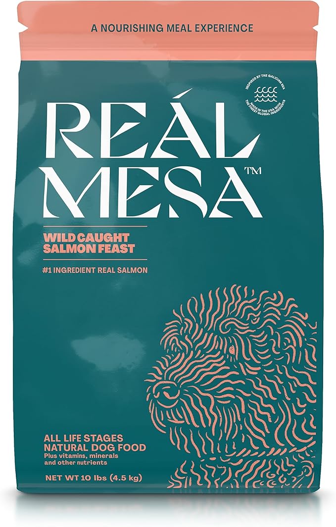 Real Mesa Premium Dry Dog Food - High Protein, Chef-Curated Adult Dog Nutrition, Salmon Entrée (10lbs)