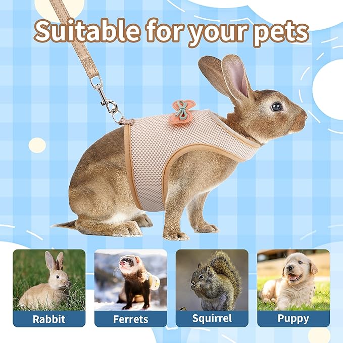 AIITLE Bunny Harness and Leash Set, Soft Breathable Mesh Vest Harness with Cute Bow for Rabbits Kitten Ferret Small Pig Puppy Walking Supplies Beige M