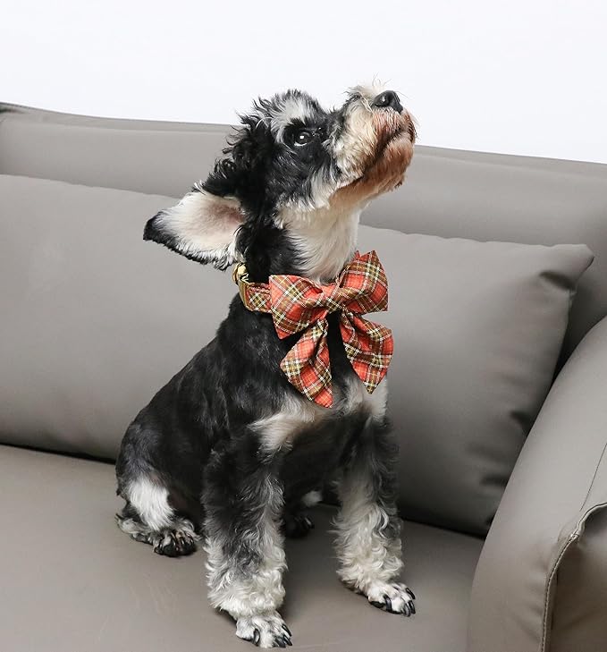 Unique Style Paws Cotton Dog Collar with Bow