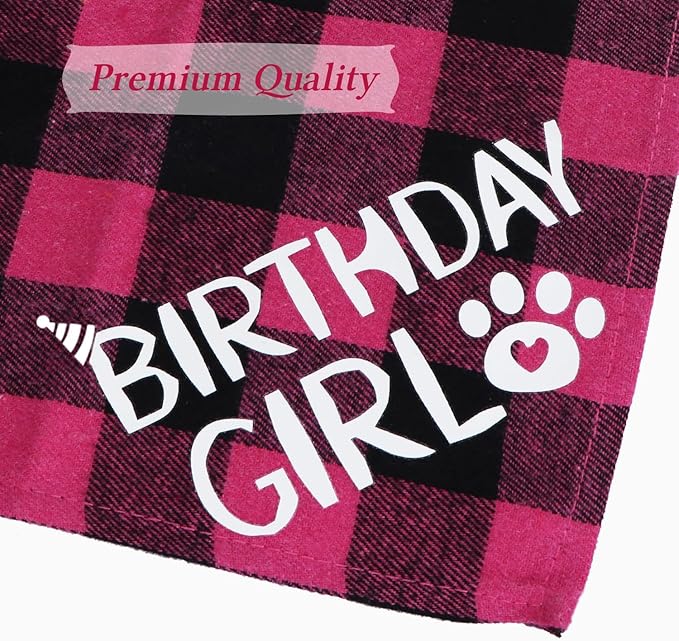 STMK Dog Birthday Bandana