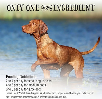 Northwest Naturals Raw Rewards Freeze-Dried Whitefish Treats for Dogs and Cats - Bite-Sized Pieces - Healthy, 1 Ingredient, Human Grade Pet Food, All Natural - 2.5 Oz (Packaging May Vary)