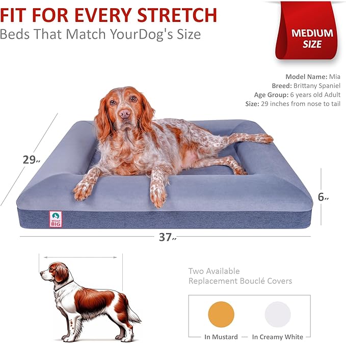 Premium Waterproof Orthopedic Medium Dog Bed Made Out of Velvet 37" x 29" x 6"