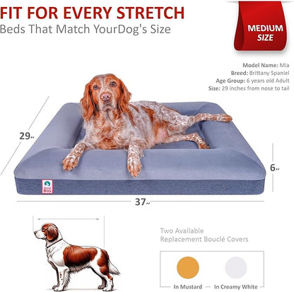 Premium Waterproof Orthopedic Medium Dog Bed Made Out of Velvet 37" x 29" x 6"