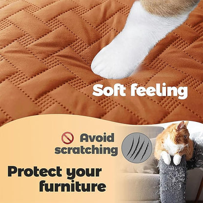 gogobunny 100% Double Sided Waterproof Dog Blanket Soft Pet Bed Cover Reversible Protect Furniture Couch Sofa Car for Puppy Cat Kids (Dark Pumpkin/Light Pumpkin 30x30 Inch 1))