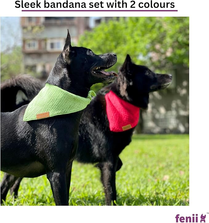 Premium Cotton Dog Bandanas 2 Pack