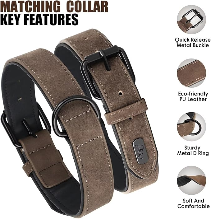 Didog Soft Padded Leather Dog Collar and Leash Set 4FT Leather