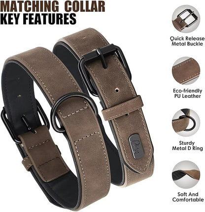 Didog Soft Padded Leather Dog Collar and Leash Set 4FT Leather