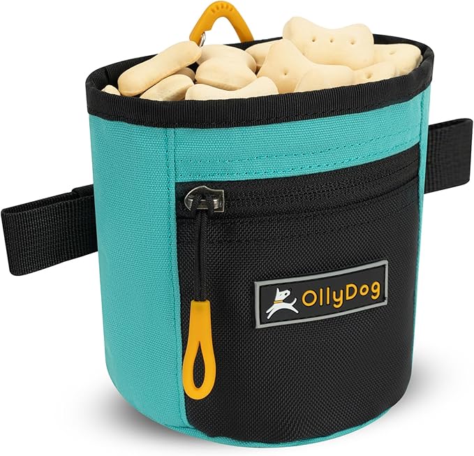 OllyDog Goodie Treat Bag, Dog Treat Pouch, Waist Belt Clip for Hands-Free Training, Magnetic Closure, Dog Training and Behavior Aids, Three Ways to Wear (Bright Aqua)