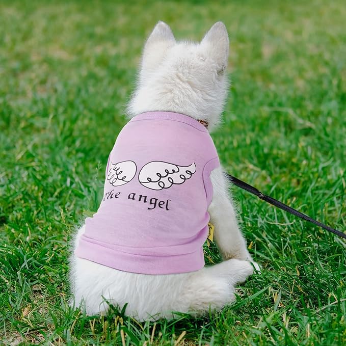 8 Pieces Pet Shirts Printed Puppy Shirts Soft Dog Shirt Pullover Dog T Shirts Cute Dog Sweatshirts Valentine's Day Puppy Girl Clothes Dog Outfits Small Dog for Pet Dogs Cats (Vivid Pattern