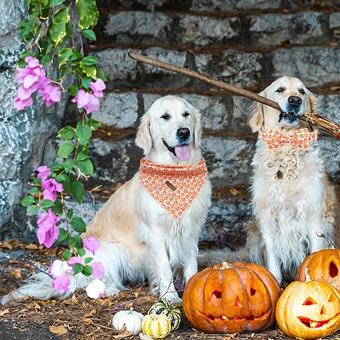 Elegant little tail Fall Dog Collar