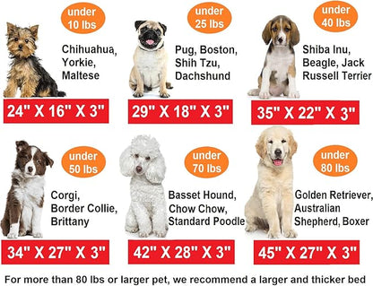 Dogbed4less Memory Foam Platform Dog Bed 42X28X3 Space