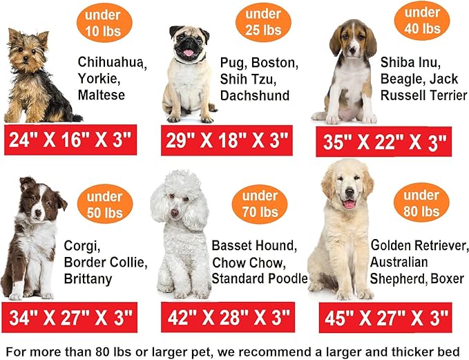 Dogbed4less Memory Foam Platform Dog Bed 29X18X3 Space