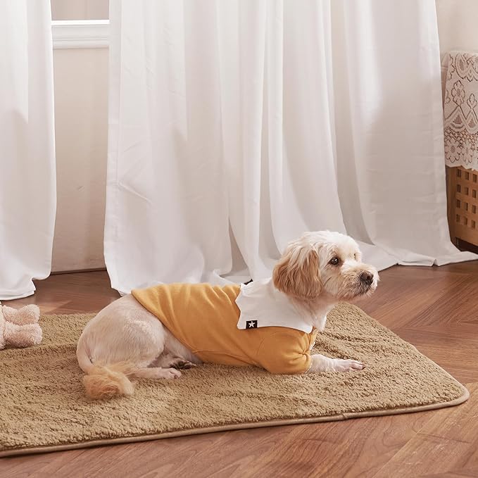NICETOWN Waterproof Dog Blanket 40" x 50", Taupe