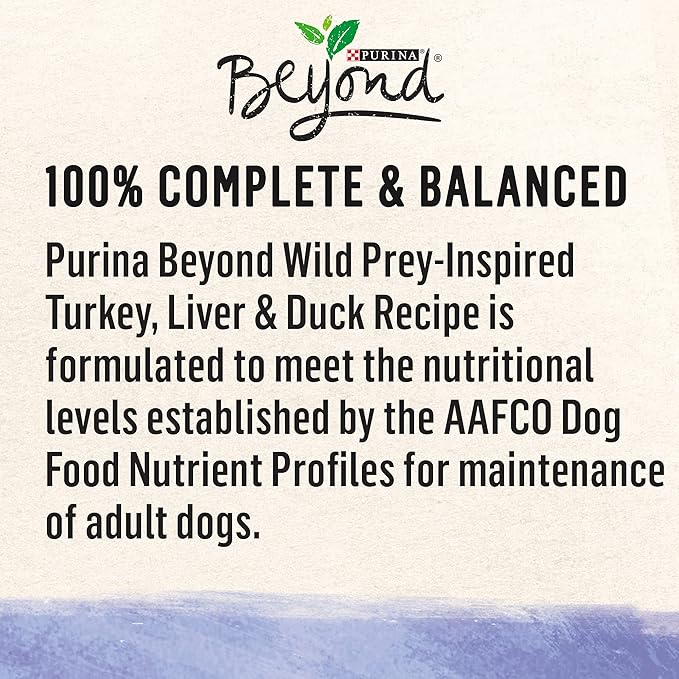 Purina Beyond High Protein, Grain Free, Natural Pate Wet Dog Food, WILD Turkey, Liver & Duck Recipe - (12) 13 oz. Cans