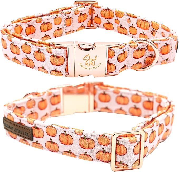 Elegant little tail Fall Dog Collar