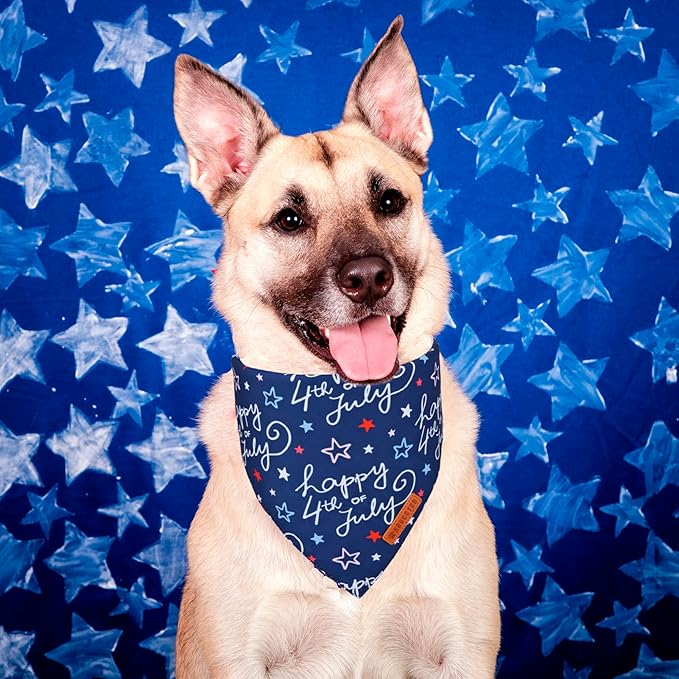 ADOGGYGO American Flag Dog Bandana 4th of 4th of 4th of