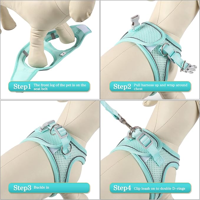 YIMEIS Dog Harness and Leash Set, No Pull Soft Mesh Pet Harness, Reflective Adjustable Puppy Vest for Small Medium Large Dogs, Cats (Tiffany Blue, X-Small (Pack of 1)