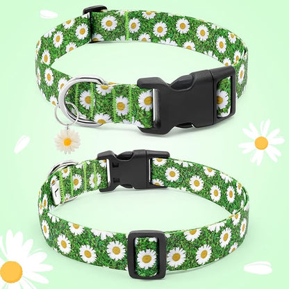 BiPawTi Green Dog Collars for Large Dog