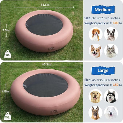 Elevated Dog Bed