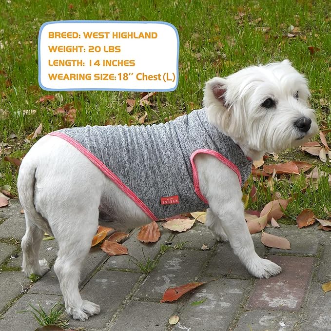 KYEESE 2 Pack Dog Shirts Quick Dry Soft Stretchy Dog T-Shirts with Reflective Label Tank Top Sleeveless Vest Sun Protection Dog Clothes for Small Dogs