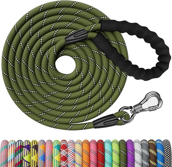NTR 100FT Leash for Large Breed Dog