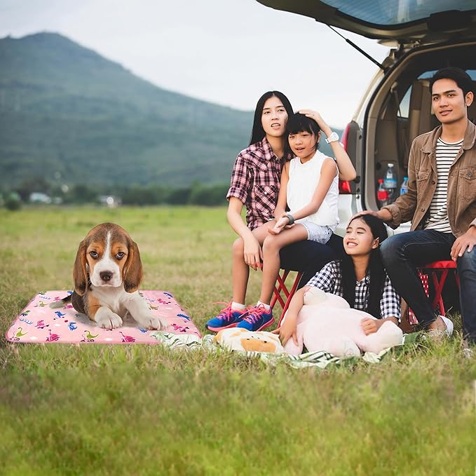 DELIFUR Cat Cooling Mat- Pet Outdoor Summer Cooling Cushion Self Cooling Pad for Cat Puppy Small Dog Machine Washable (Medium