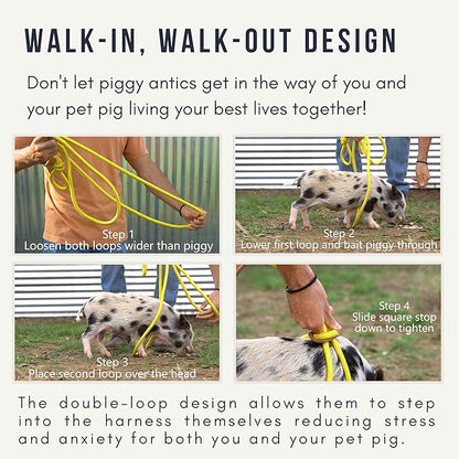 Mini Pig Harness & Leash (S/M) Fully Adjustable, Infinity Style Lead, Step-in Harness, Potbelly Pig Supplies, All-in One, Pig Leash, Ideal for Small & Medium Pet Pigs (Small, Eggshell Blue)