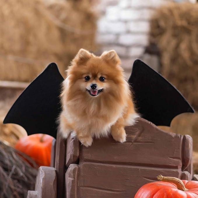 Halloween Costumes for Dogs, Bat Wings for Pets, Cute Apparel Cosplay Party Decoration for Small Dog