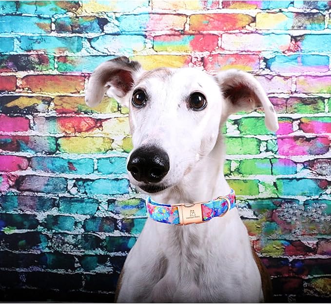 Lionheart glory Dog Collar Colorful Dog Collar Premium