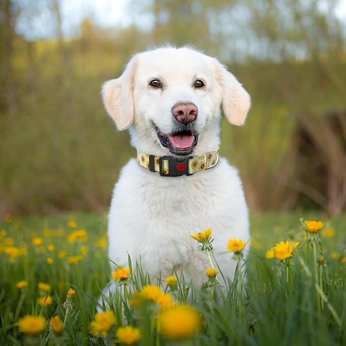 Cute Floral Dog Collar for Small Medium Large Dogs 2,M