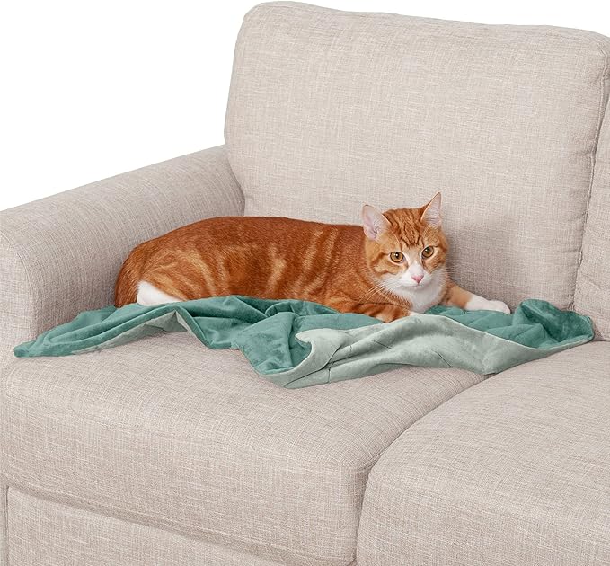 Furhaven Waterproof Throw Blanket for Dogs & Indoor Cats