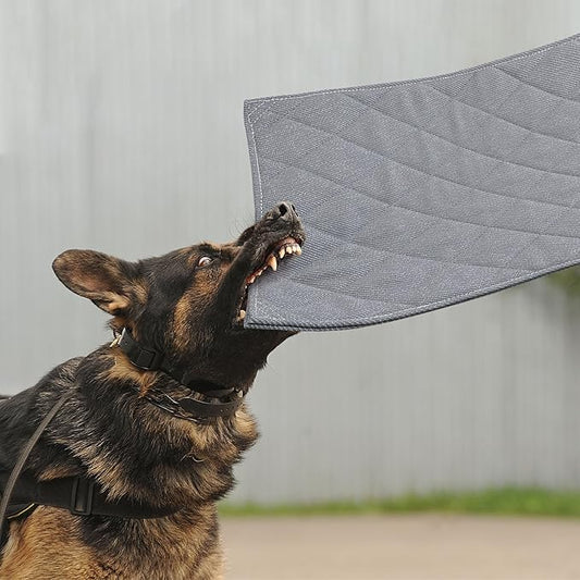 MABOZOO Indestructible Dog Beds (22x35 in)