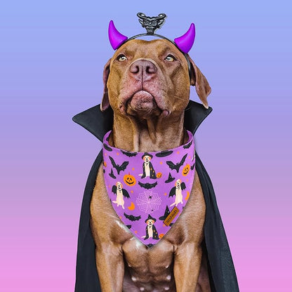 Halloween Dog Bandanas 2 Pack