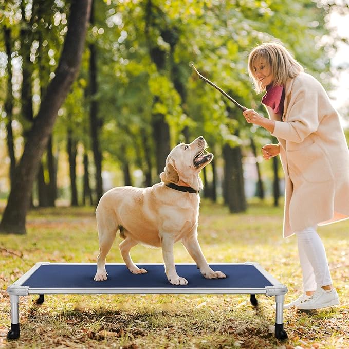 Veehoo Chew Proof Elevated Dog Bed CWC2003