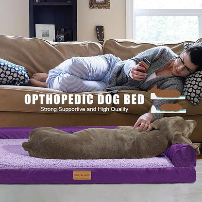 Patas Lague Orthopedic Dog Bed for Medium Dogs 36''X24''