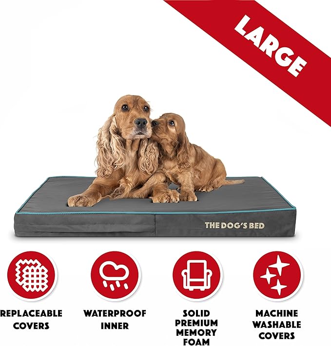 The Dog’s Bed Orthopedic Memory Foam Dog Bed 40x25x4, Pain