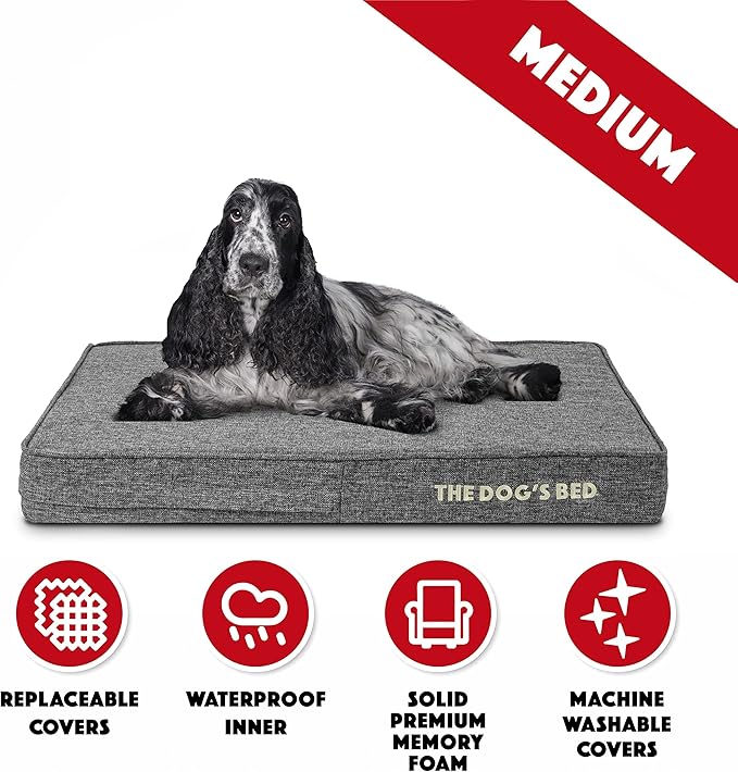 The Dog’s Bed Orthopedic Memory Foam Dog Bed