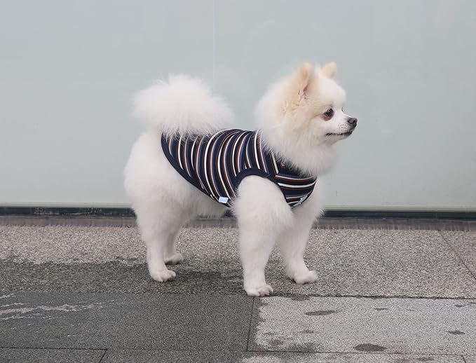 Striped Teacup Pet Dog T-Shirts 100% Cotton 3X-Small