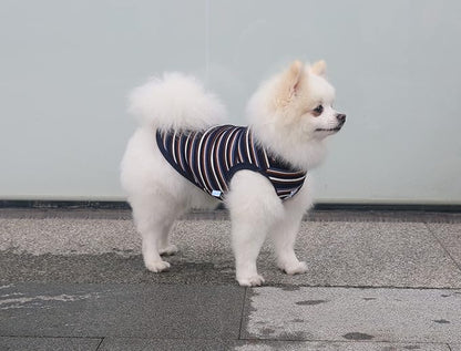 Striped Teacup Pet Dog T-Shirts 100% Cotton 3X-Small