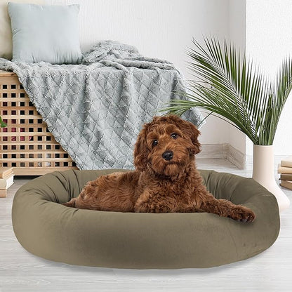 Arlee Orbit Orthopedic Memory Foam Dog Bed