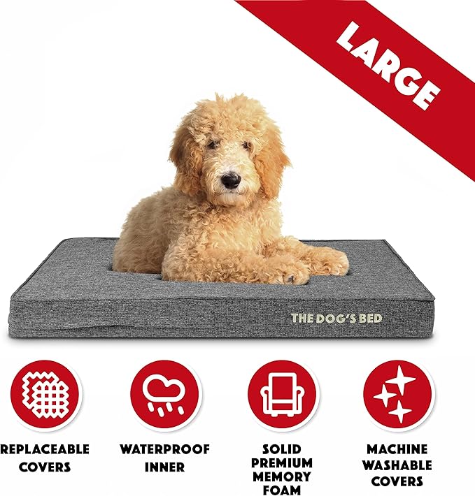 The Dog’s Bed Orthopedic Memory Foam Dog Bed 40x25, Pain