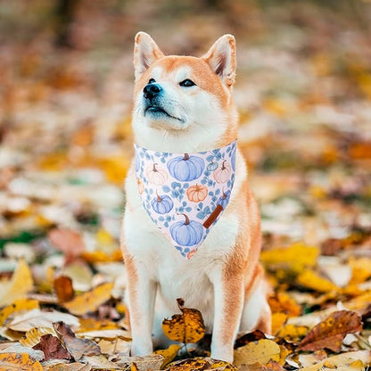ADOGGYGO Thanksgiving Dog Bandana