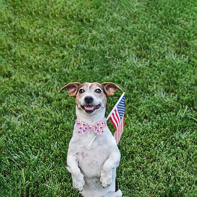 Unique style paws Dog Collar