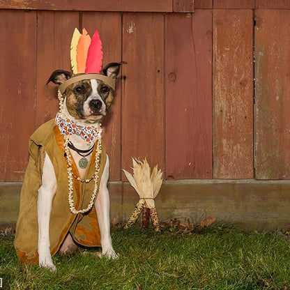 Elegant little tail Tanksgiving Dog Collar